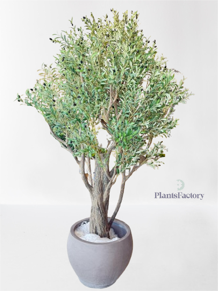 Artificial Olive Tree 250 cm - OT100001