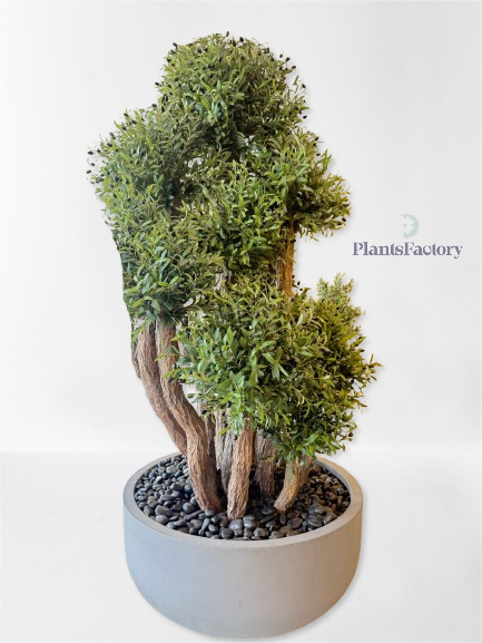 Artificial Olive Tree 250 cm - OT100008