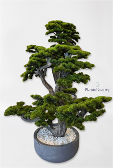 Artificial Bonsai Tree 250 cm - BT100001