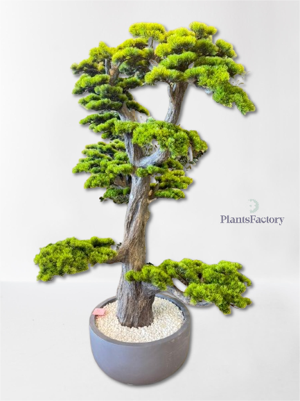 Artificial Bonsai Tree 190 cm - BT100003
