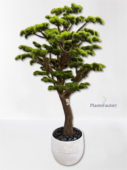 Artificial Bonsai Tree 200 cm - BT100015