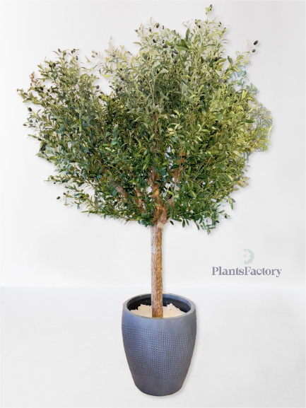 Artificial Olive Tree 250 cm - OT100011
