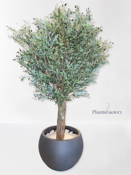 Artificial Olive Tree 250 cm - OT100012