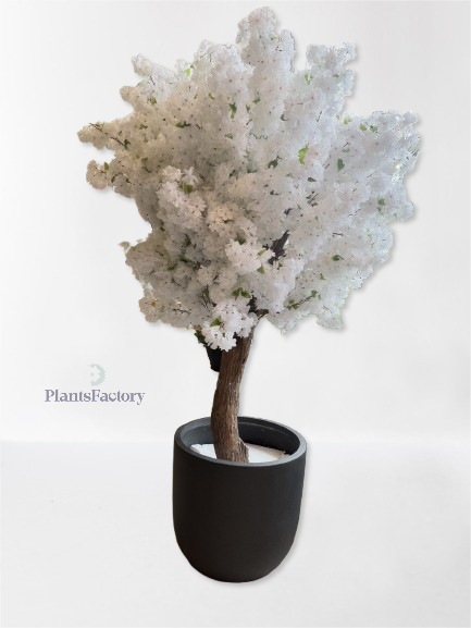 Cherry Blossoms Tree - AR50005