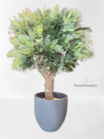 Artificial Acacia Tree 280 cm - AT100001