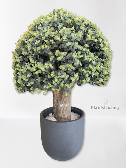 Artificial Eucalyptus Tree 170 cm - ET100003