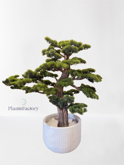 Artificial Bonsai Tree 120 cm - BT100007