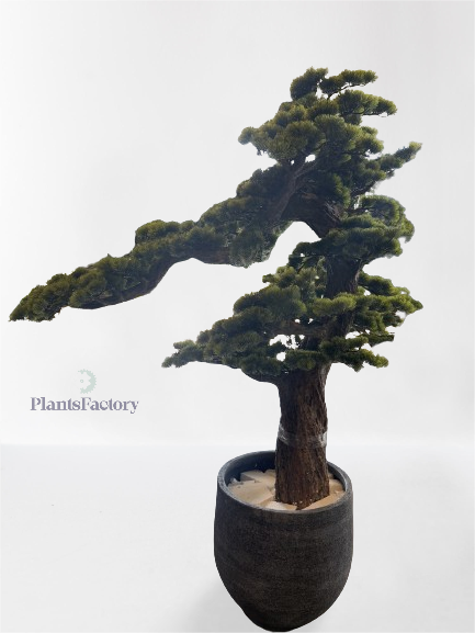 Artificial Bonsai Tree 200 cm - BT100008