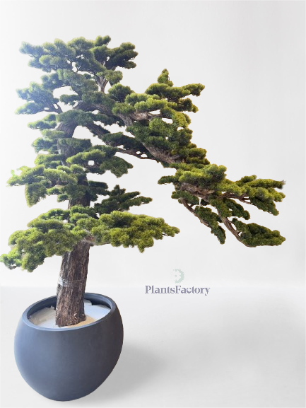 Artificial Bonsai Tree 240 cm - BT100009