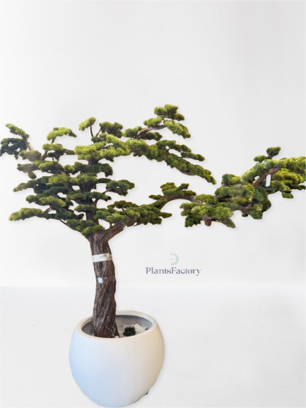 Artificial Bonsai Tree 215 cm - BT100010