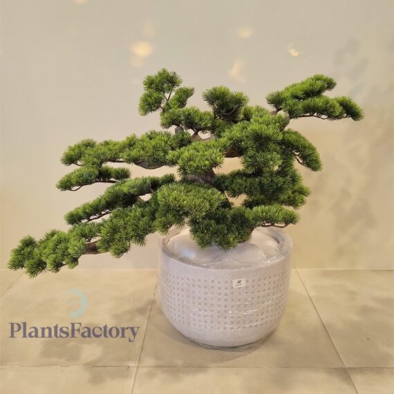 Artificial Bonsai Tree 55 cm -BT100025