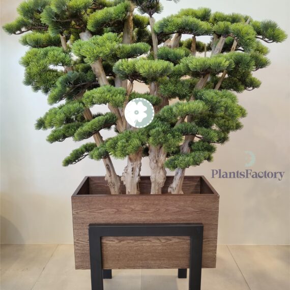 Artificial Bonsai Tree 100 cm - BT100018