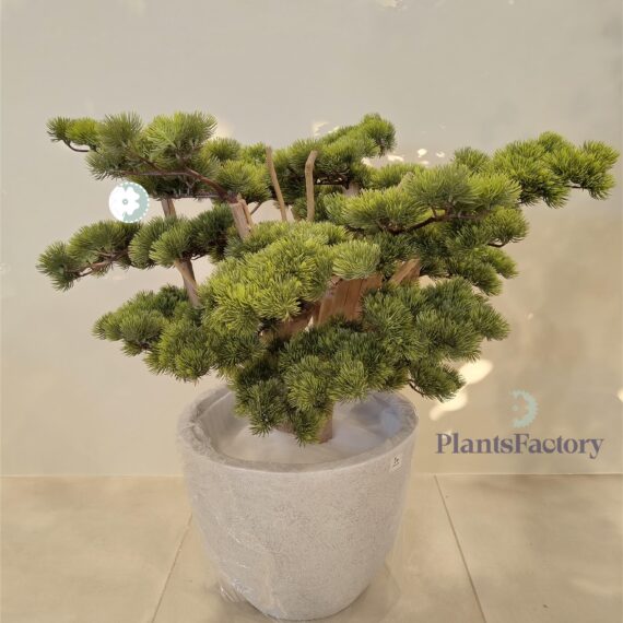 Artificial Bonsai Tree 65 cm -BT100011