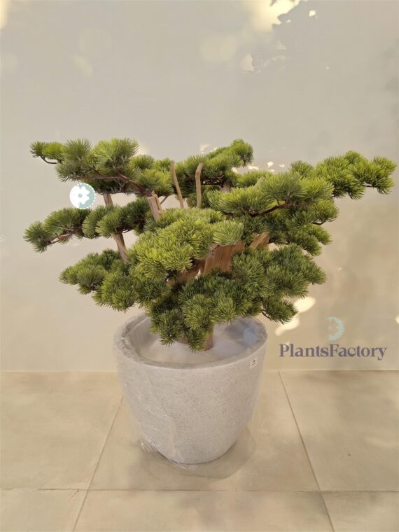Artificial Bonsai Tree 65 cm -BT100011