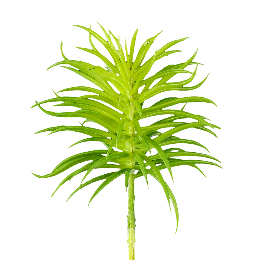 Artificial Mini Sucullent - S100013