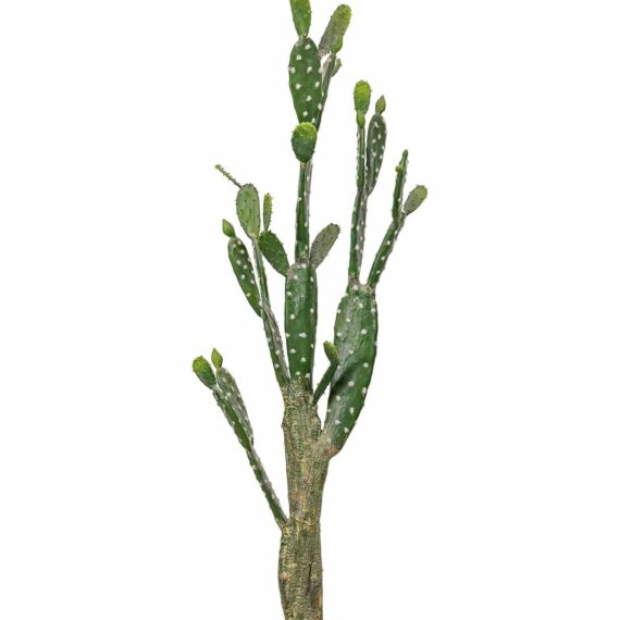 Artificial Cactus Opuntia tomentosa