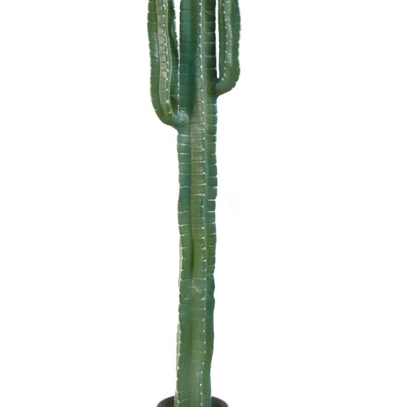 Cactus Cereus (with white neddles)141cm