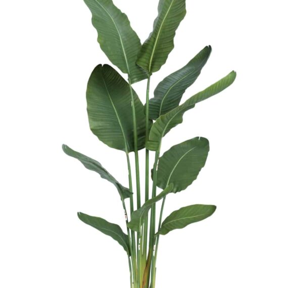 Artificial Premium Strelitzia nicolai