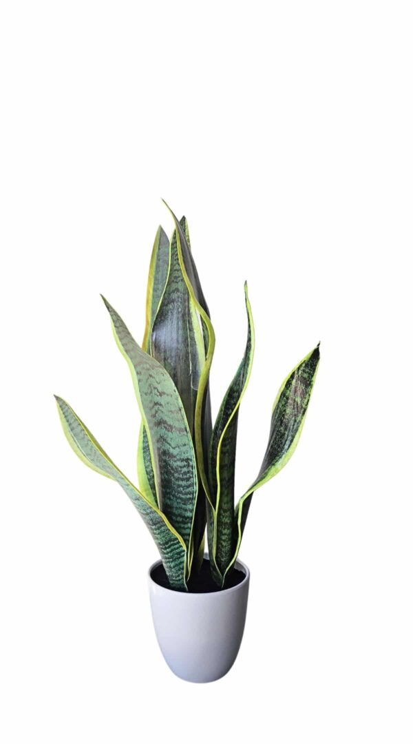 Artificial Snake Plant