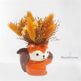 Autumn Squirrel Bloom