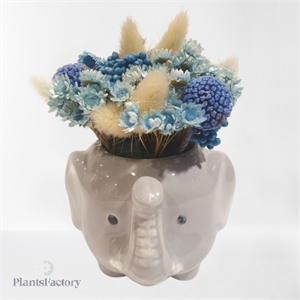 Blue Safari Bloom