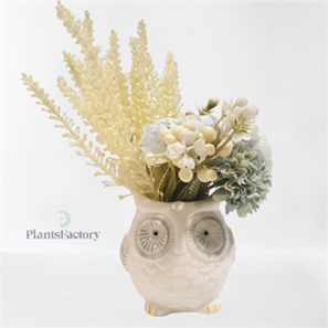 Whispering Owl Bloom
