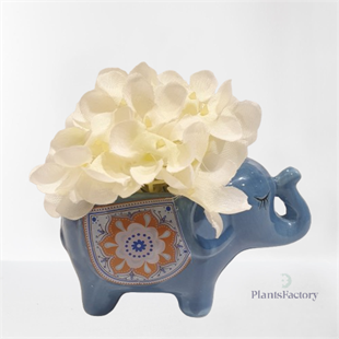 Serene Elephant Bloom