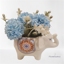 Sky Bliss Elephant Bloom