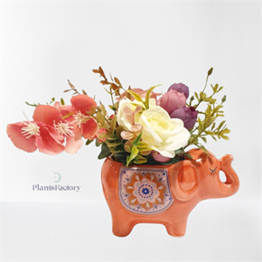 Garden Joy Elephant Bloom