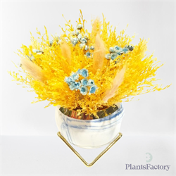 Sunshine Meadow Bloom