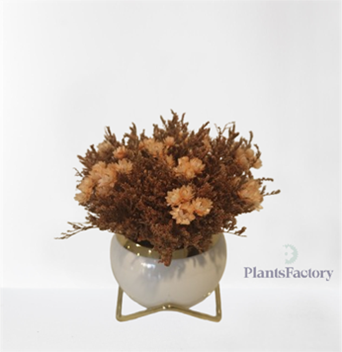 Rustic Charm Bloom