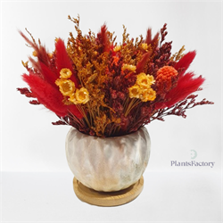 Scarlet Blaze Bloom