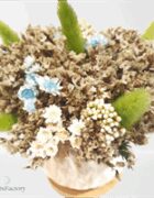 Meadow Breeze Bloom - Image 2