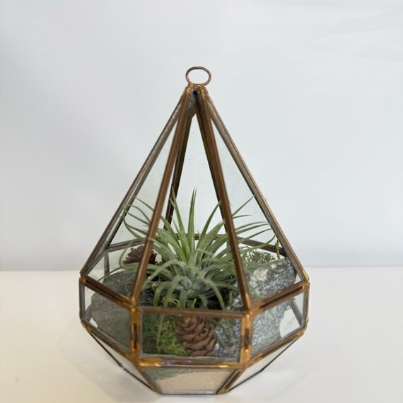 Geometric Haven