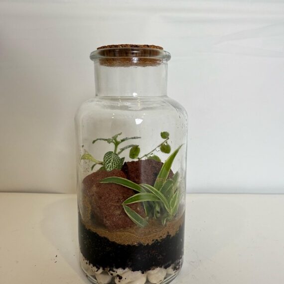 Earth Layers Terrarium