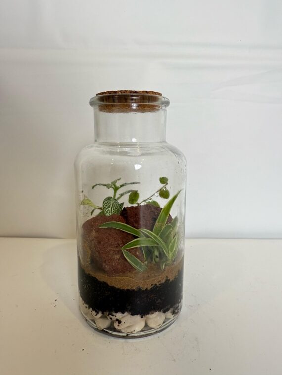 Earth Layers Terrarium