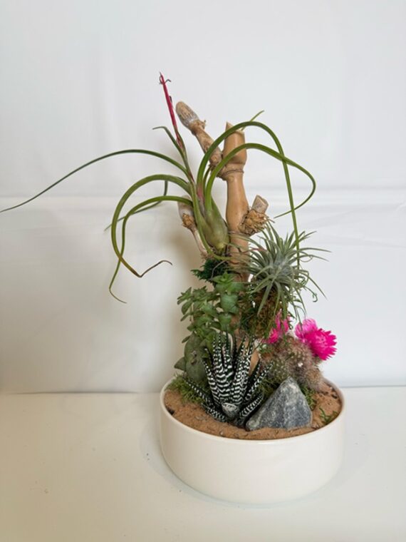 Desert Harmony Arrangement