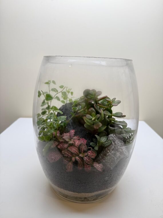 Mossy Meadow Terrarium