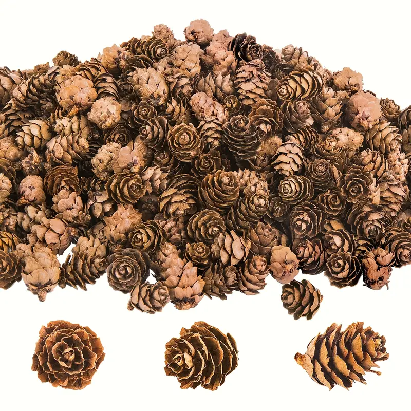 Natural Pine Cones 100 pcs