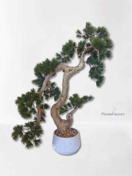 Artificial Bonsai Tree 80 cm - BT100016