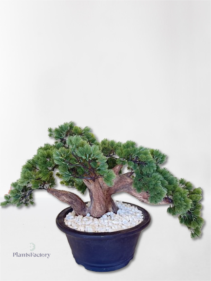 Artificial Bonsai Tree 50 cm - BT100005