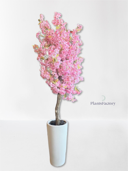 Cherry Blossoms Tree - AR50004