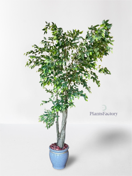Artificial Ficus Tree 260 cm -FT100003