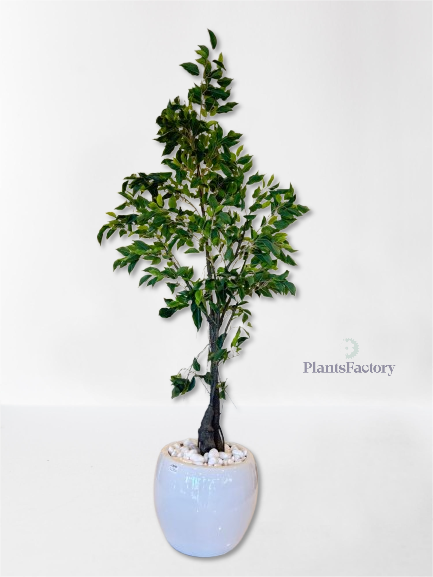 Artificial Ficus Tree 150 cm - FT100004