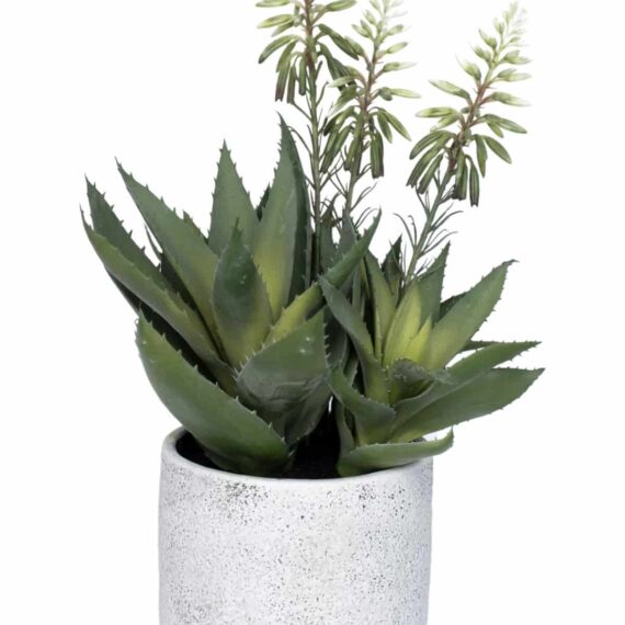 Blooming Aloe green
