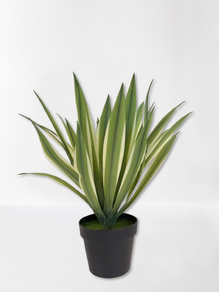 Artificial Yucca Gloriosa 50 cm - Y100001