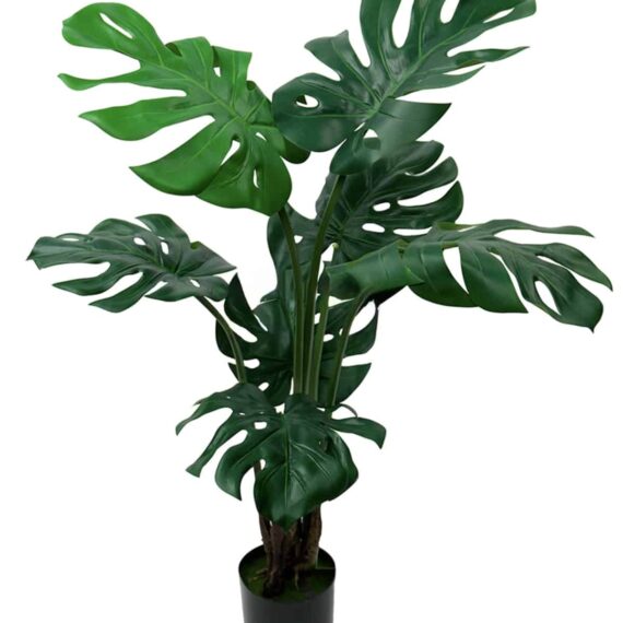 Monstera Bush 100cm