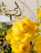 Sunshine & Roses - Image 3