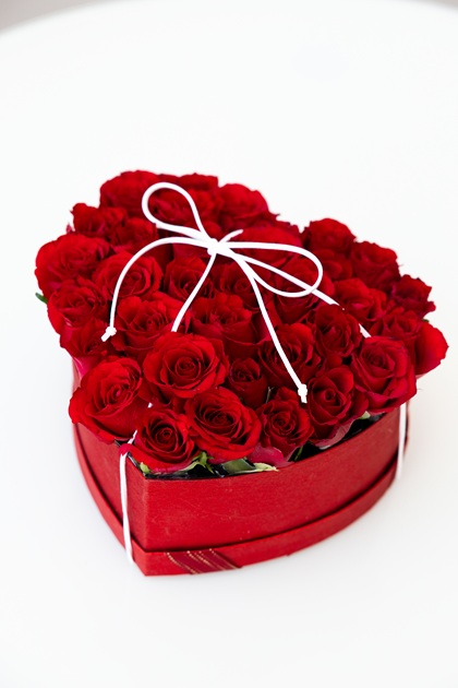 Scarlet Promise