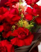 Scarlet Whimsy - Image 2